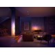 Philips HUE floor lamp Signe, 29W, White and Color Ambiance 871869617625200