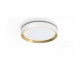 Philips LED плафониера Hanno бяла SceneSwitch - 3 настройки на яркостта 24W 2800lm 4000K 872016930139900 - Плафониери
