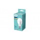 Philips LED лампа 120W A67 E27 WW FR ND 1PF/6 DISC 872110305567500 - LED Лампи с класическа форма