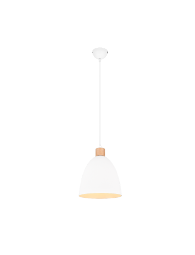 Hanging lights - RL pendant Jagger E27, 40W R30681031