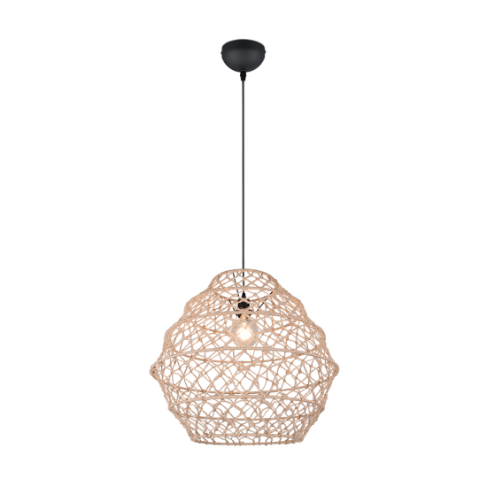 RL Пендел HIVE E27 60W R31681036