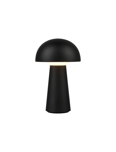  - RL LED outdoor lamp Lennon, with battery, IP44 180lm, 3000K R52176102