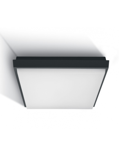 Indoor lighting - One light LED plafo 30W antracite 67363A/AN/W