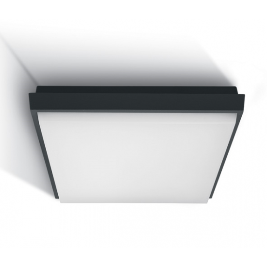 One light LED plafo 30W antracite 67363A/AN/W