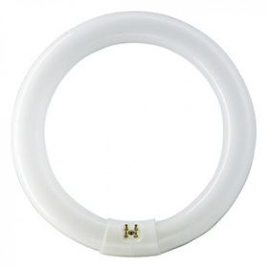 Philips fluorescent lamp TL-E  32 W G10q Cool white