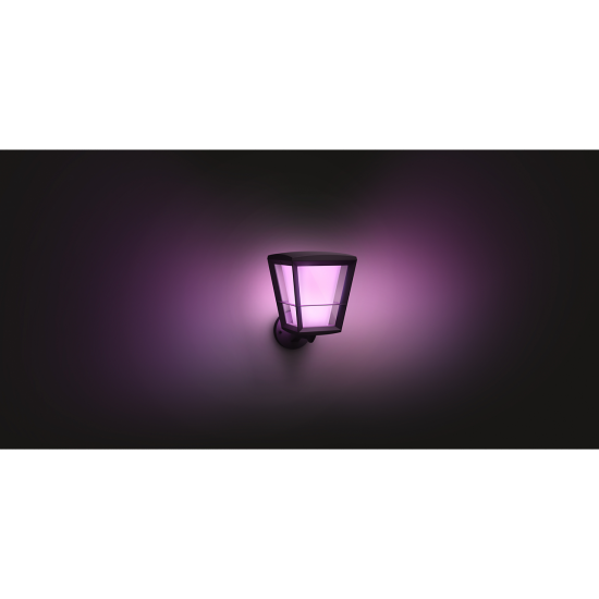 Philips, outdoor lamp, WiFi, LED, 1150Lm, 15 W, Hue Econic, IP44, black, 1743930P7